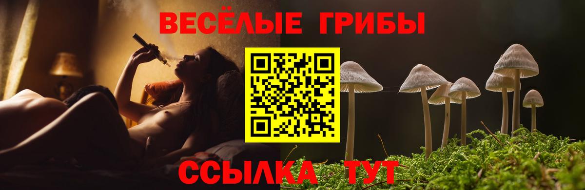 Псилоцибиновые грибы Psilocybine cubensis Ростов Великий